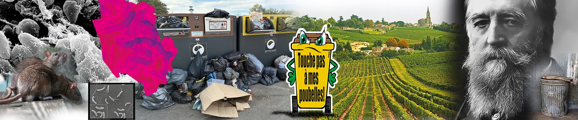 Revue de presse